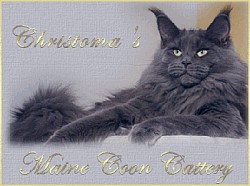 Cattery Christoma