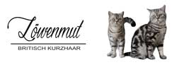Cattery von Löwenmut